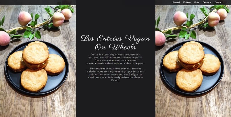 Capture de la page des entrées du nouveau site veganonwheels.fr