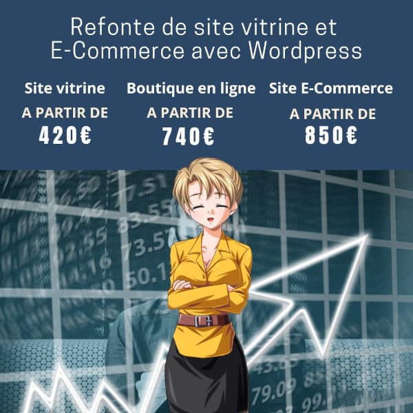 Refonte site Internet par Visual Web Novel